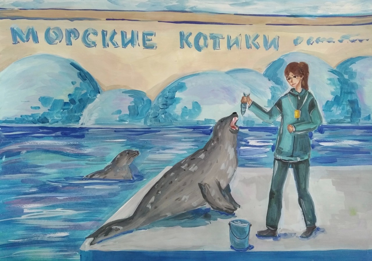 Ижевский зоопарк. Представление морских котиков. 