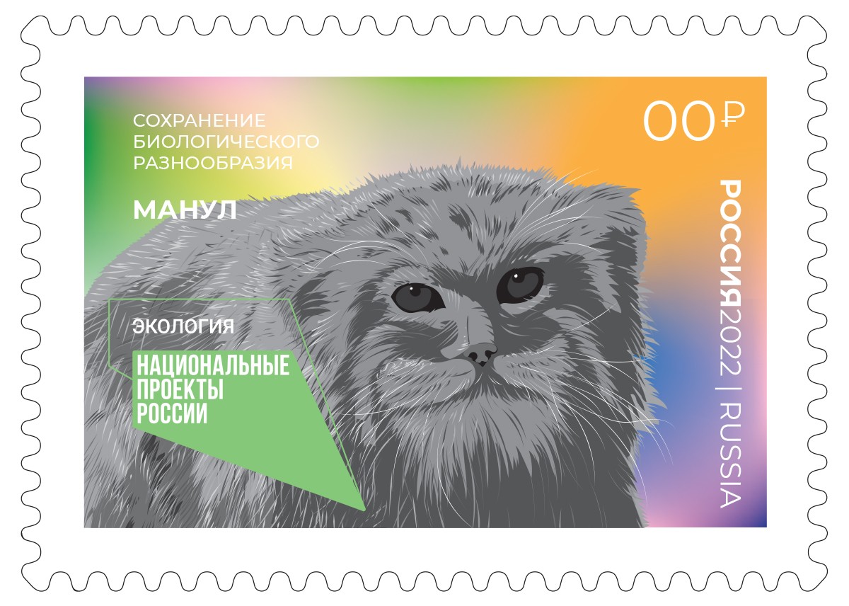 Сохранение биологического разнообразия. Манул