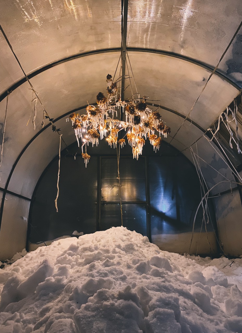 Теплица