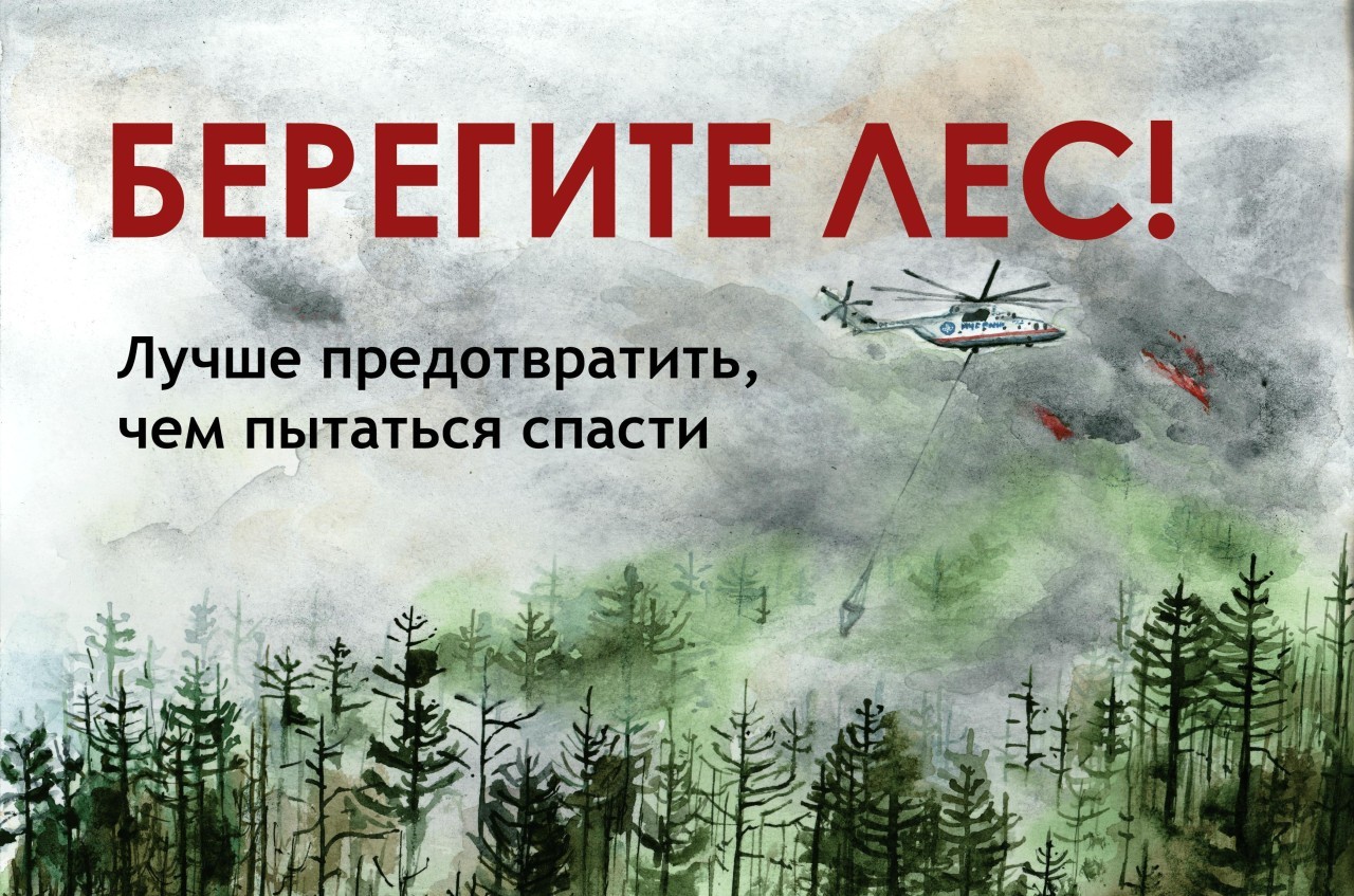 Берегите лес! Берегите лес!