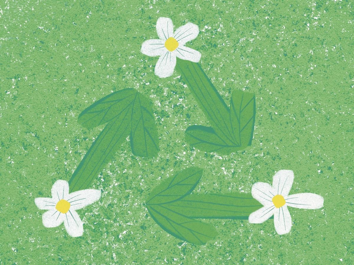 Recycle with nature Recycle with nature