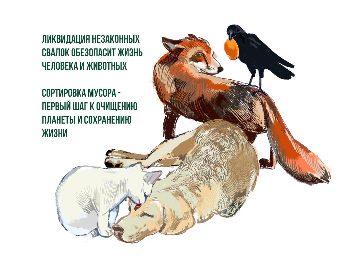 Путь к сохранению жизни