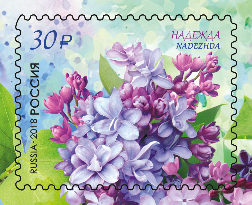 Флора России. Сирень
