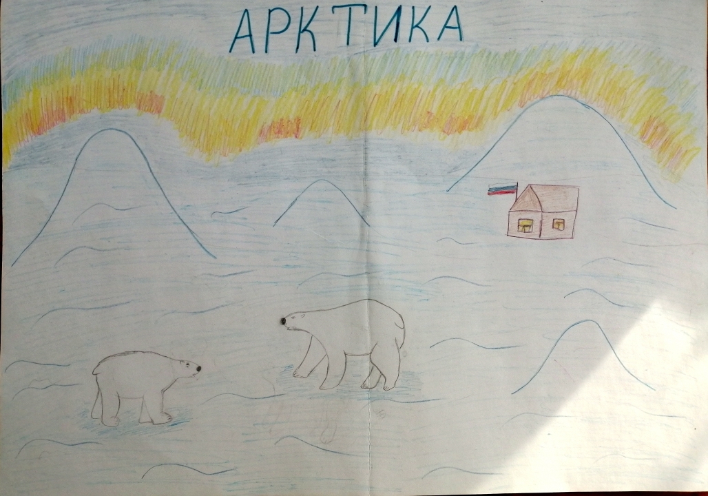 Медведи в Арктике