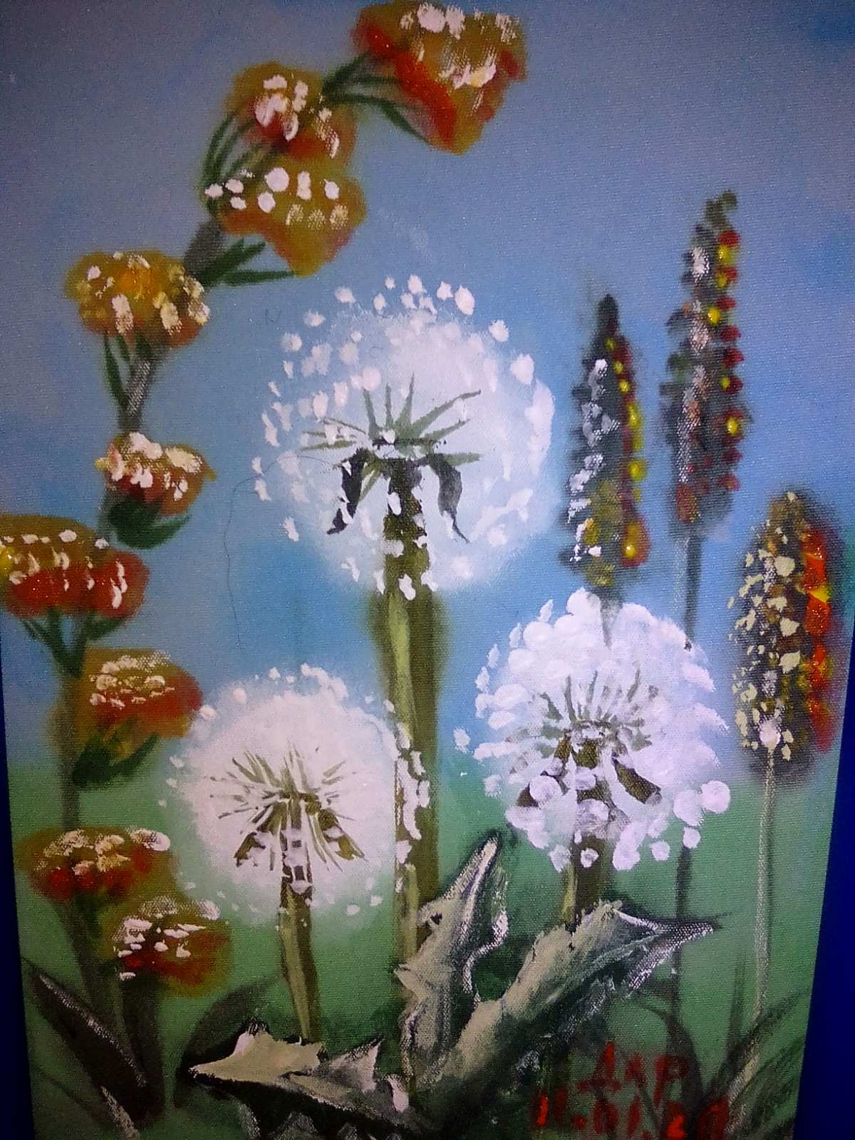 Одуванчики