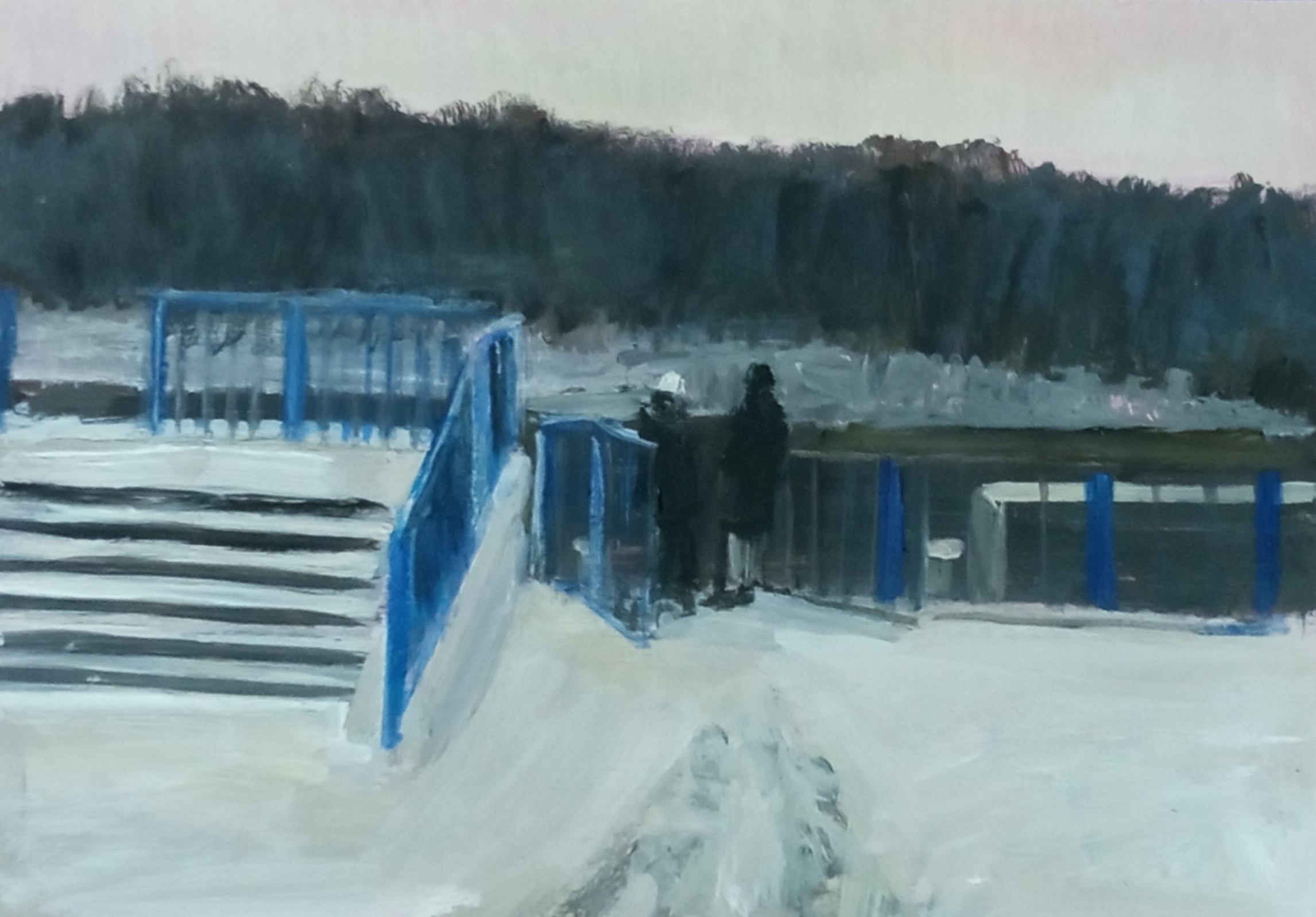 Химки. Первый снег. 