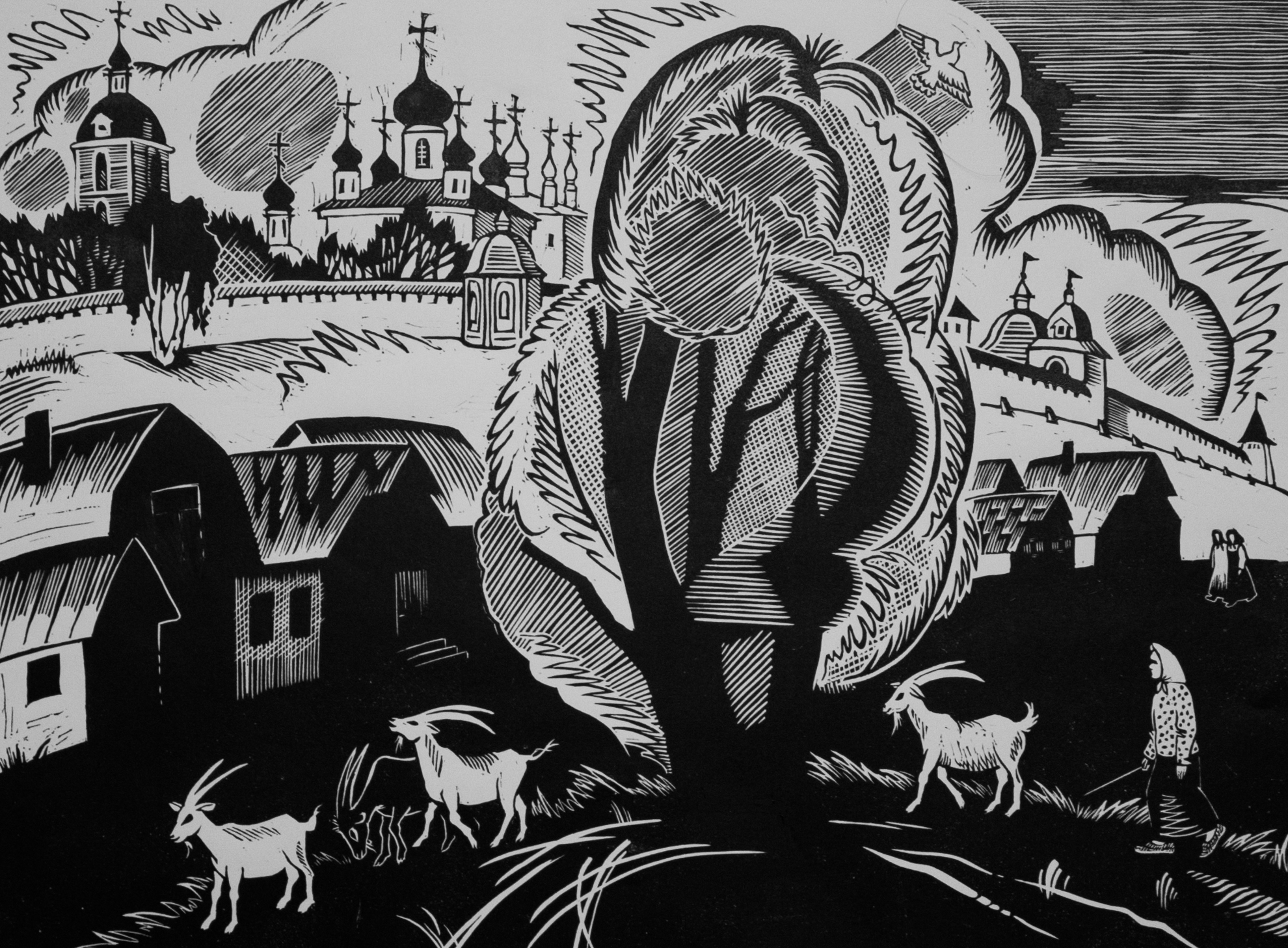 Козы