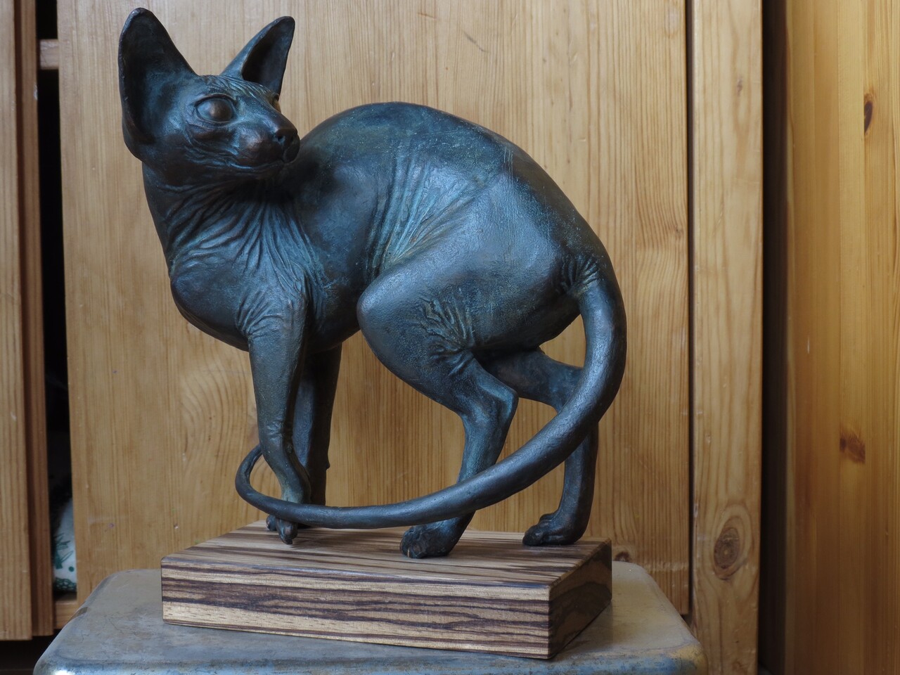Голый кот Голый кот