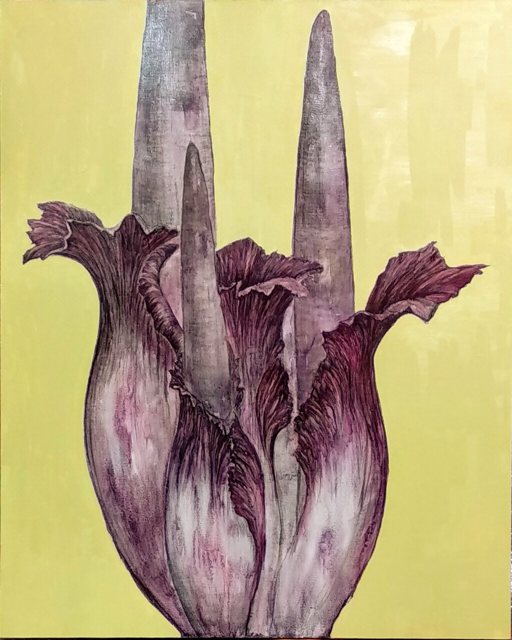 Amorphophallus. Из серии "Невероятные растения" Amorphophallus. Из серии "Невероятные растения"