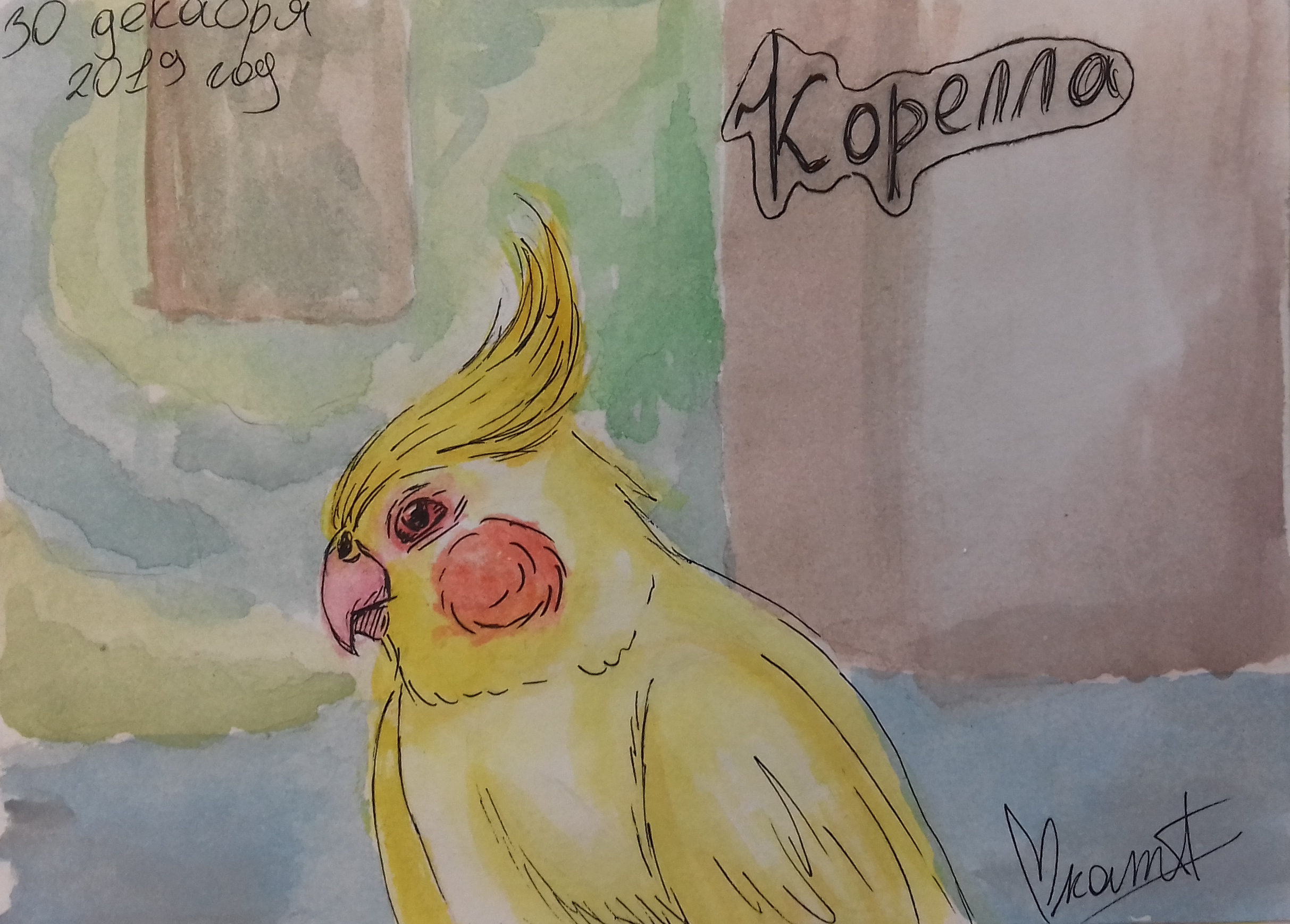 Корелла