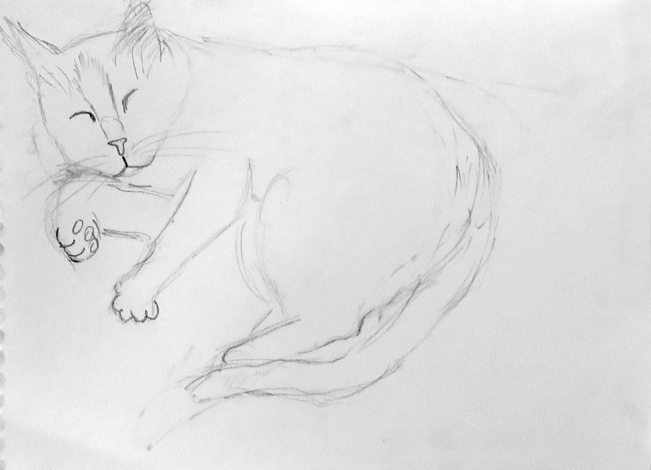 Спящая кошка