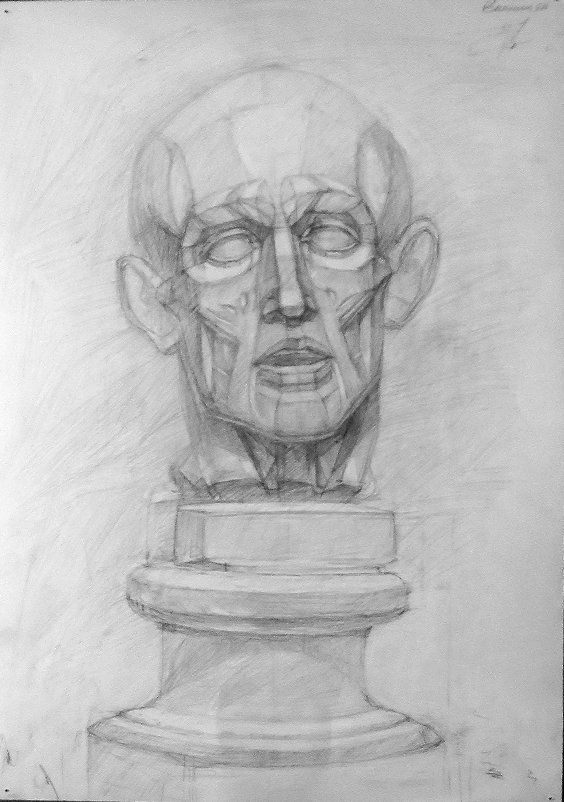 Рисунок гипсовой головы Экорше