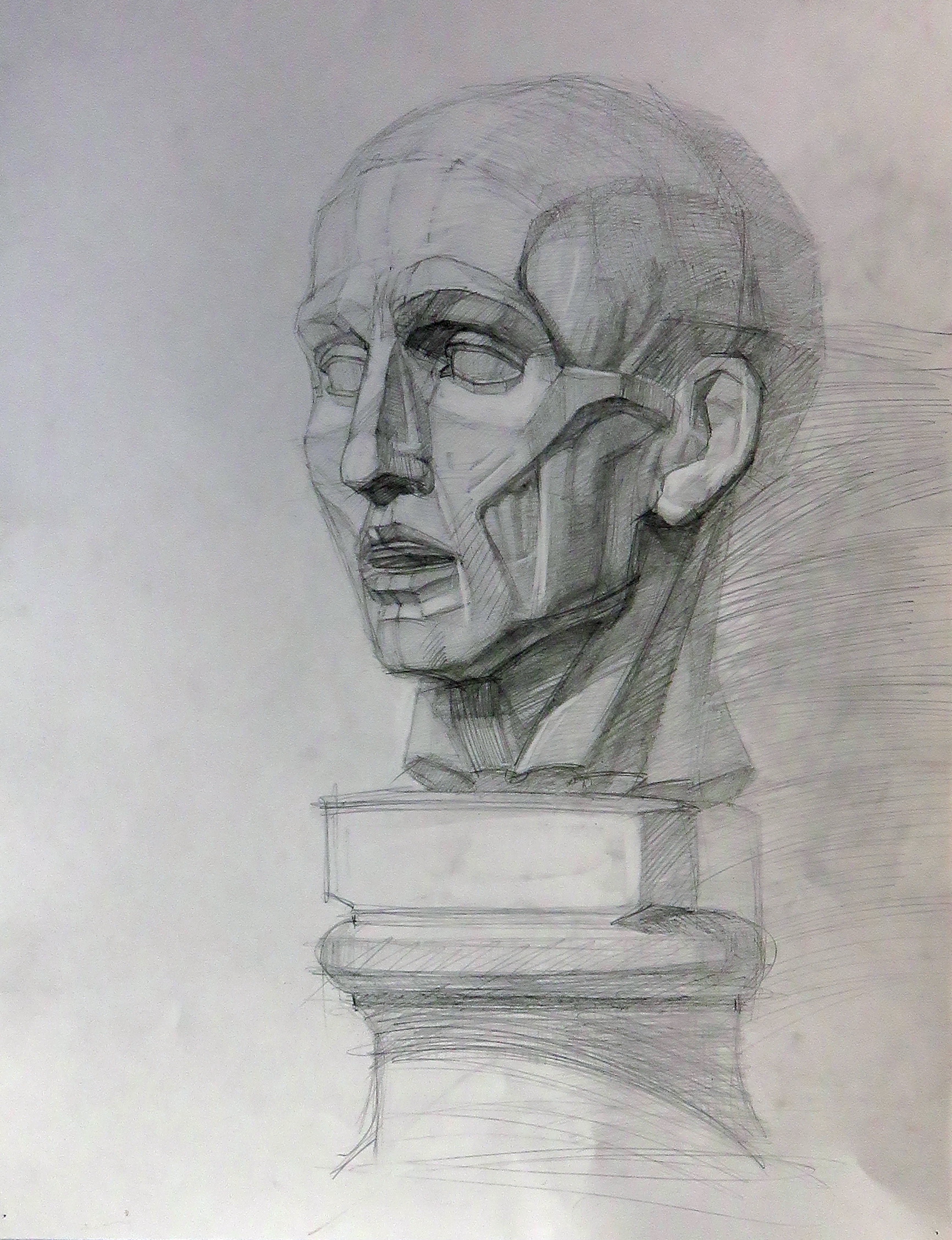 Рисунок головы Экорше, г. бум.граф. кар.,52х40
