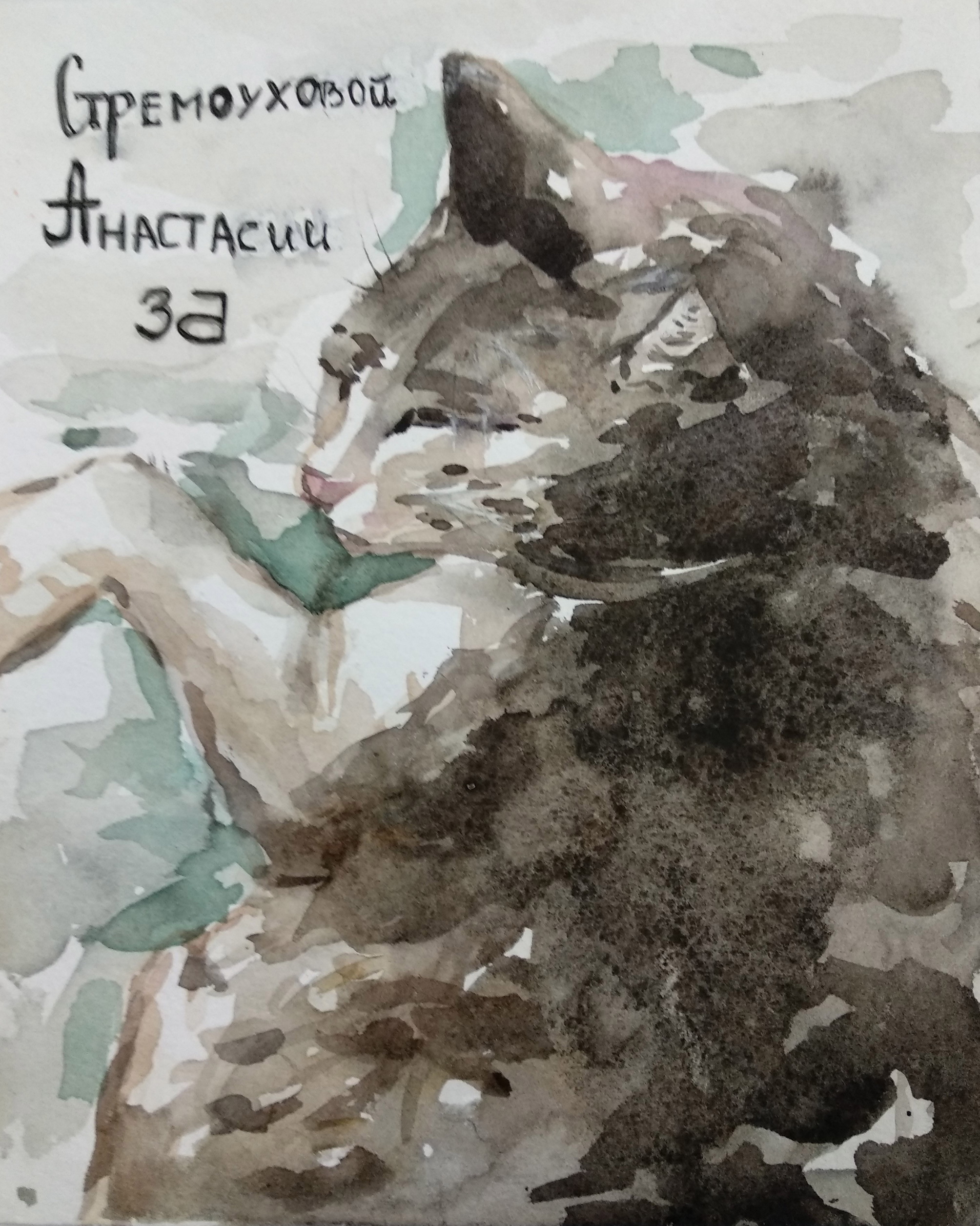 Кошка