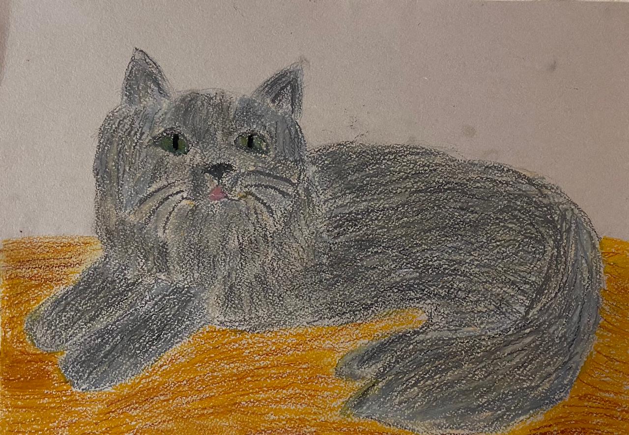 Кот