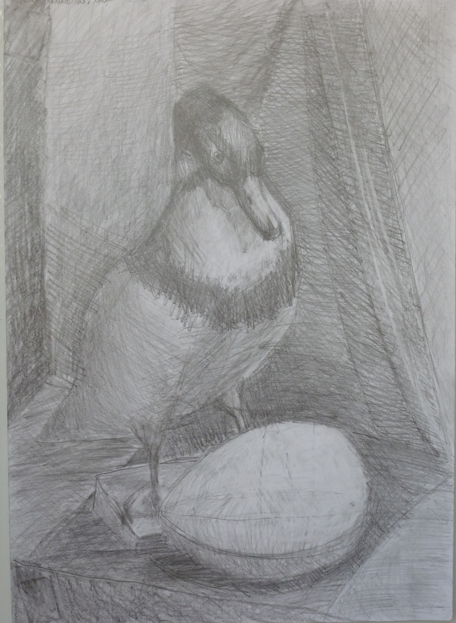 рисунок чучела птицы