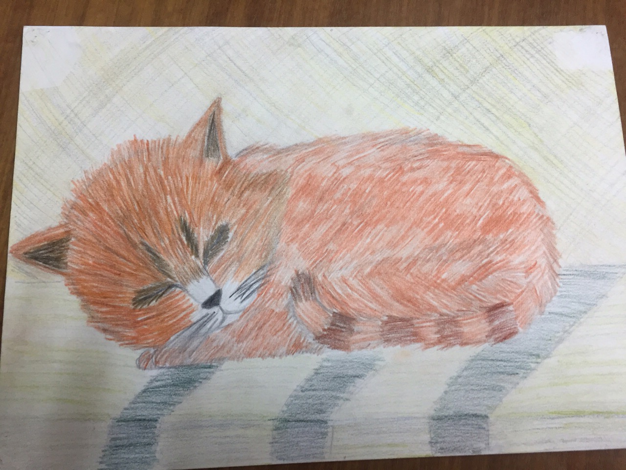 кот