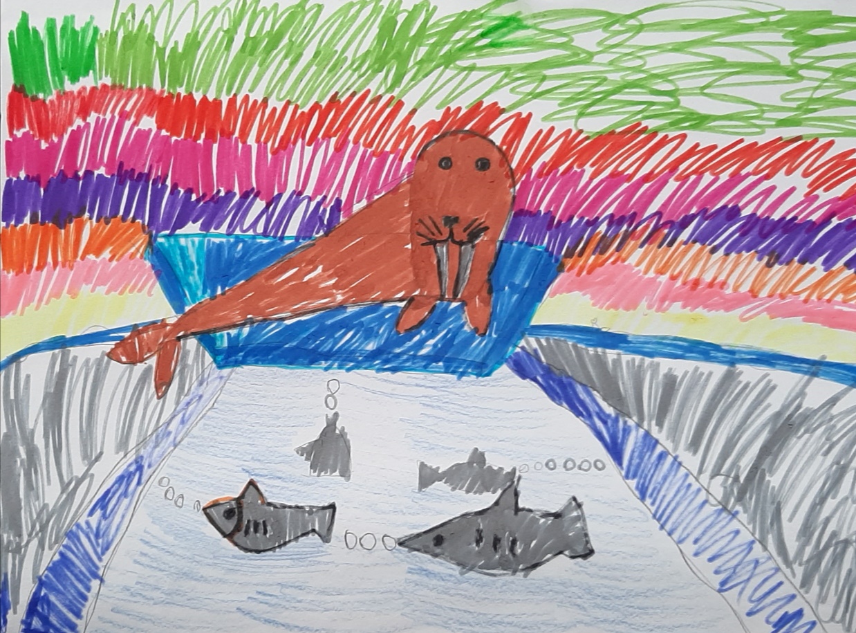 Морж