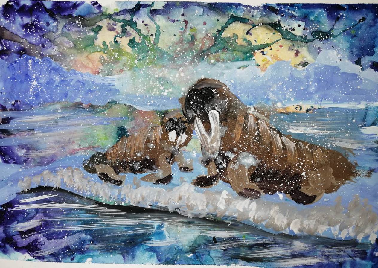 Моржи на льдине