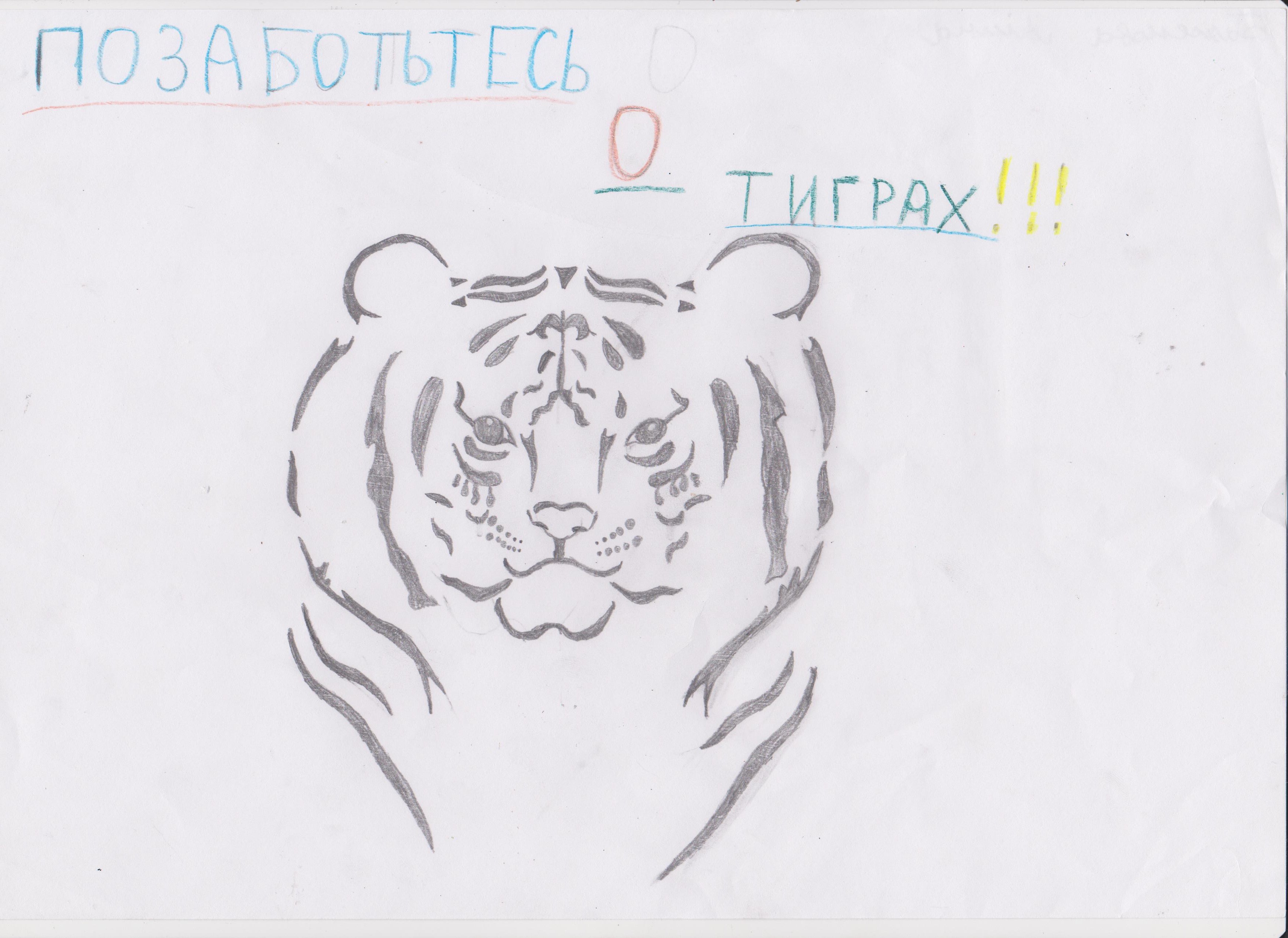 Позаботьтесь о тиграх